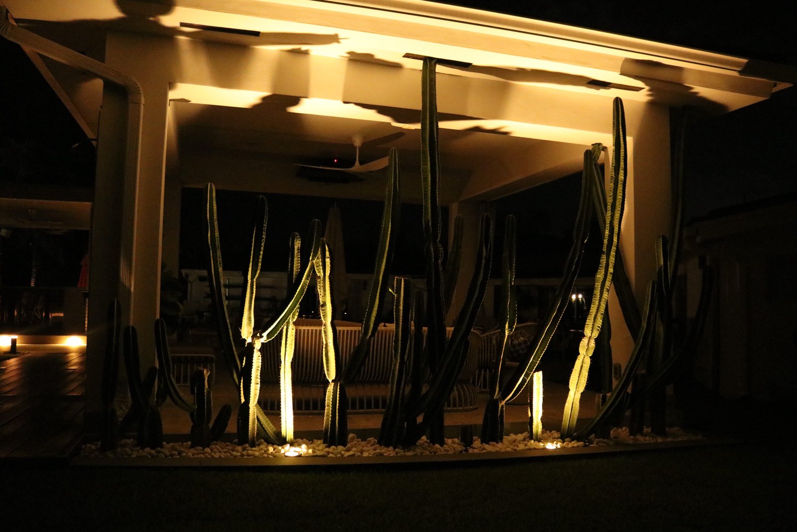 Architectural cactus lighting