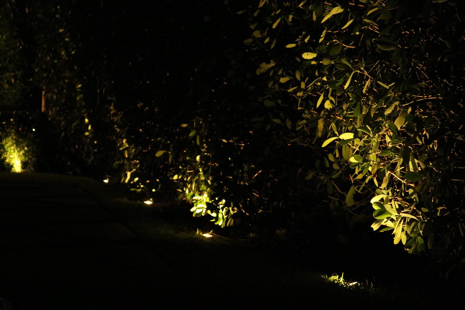 Garden accent lighting